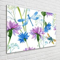 Wallmuralia Foto obraz skleněný horizontální Květiny a vážky 100x70 cm 4 úchytky