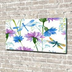 Wallmuralia Foto obraz skleněný horizontální Květiny a vážky 100x50 cm 2 úchytky