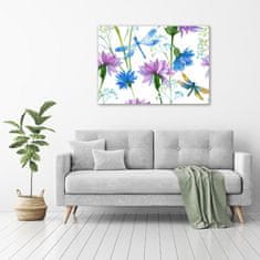 Wallmuralia Foto obraz skleněný horizontální Květiny a vážky 100x70 cm 4 úchytky