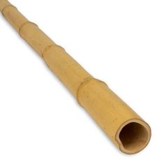 podpěra bambusová průměr 12/14mm, délka 150cm