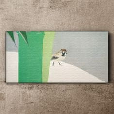 COLORAY.CZ Obraz na plátně Zvířecí pták vrabec 100x50 cm