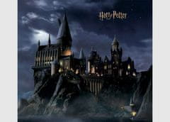 AG Design Harry Potter, vliesová fototapeta 360x270 cm