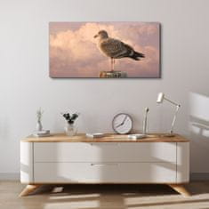 COLORAY.CZ Obraz na plátně Zvířecí pták Seagull Sky 100x50 cm