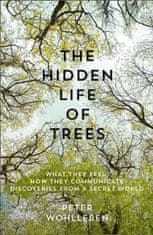 Peter Wohlleben: Hidden Life of Trees - What They Feel, How They Communicate