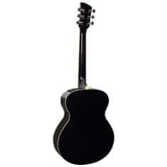 Brunswick BF100 Black