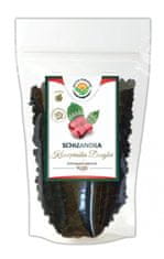 Salvia Paradise SCHIZANDRA KLANOPRAŠKA SALVIA PARADISE 100 g