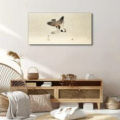 COLORAY.CZ Obraz na plátně Zvířata Birds Sparrows 100x50 cm