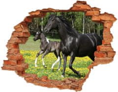 Wallmuralia Díra 3D fototapeta Kobyla s hříbětem 148x115 cm