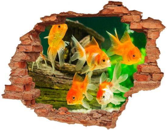 Wallmuralia Díra 3D foto tapeta nálepka Zlaté rybičky