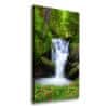 Vertikální Foto obraz na plátně Vodopád v lese 50x100 cm