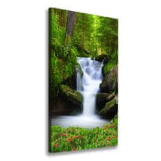 Wallmuralia Vertikální Foto obraz na plátně Vodopád v lese 50x100 cm