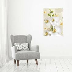 Wallmuralia Vertikální Foto obraz fotografie na skle Bílá orchidej 70x100 cm 2 úchytky