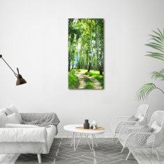 Wallmuralia Vertikální Foto obraz sklo tvrzené Břízový les 60x120 cm 4 úchytky