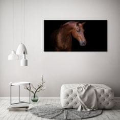 Wallmuralia Foto-obrah sklo tvrzené Hnědý kůň 125x50 cm 2 úchytky