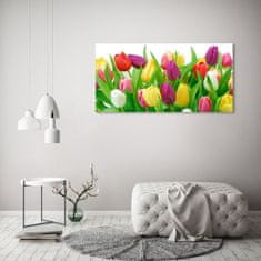 Wallmuralia Foto-obraz fotografie na skle Barevné tulipány 125x50 cm 4 úchytky