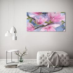 Wallmuralia Foto obraz sklo tvrzené Růžová magnolie 125x50 cm 2 úchytky