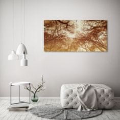 Wallmuralia Moderní foto obraz na stěnu Les 125x50 cm 2 úchytky