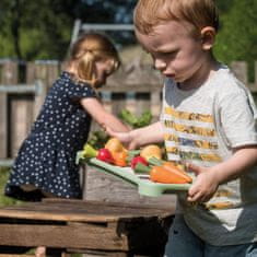 Dantoy Green Garden sada na sázení ve skleníku 18ks 24m+