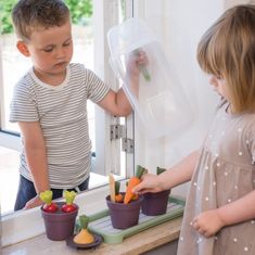 Dantoy Green Garden sada na sázení ve skleníku 18ks 24m+