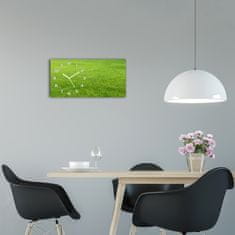 Wallmuralia Skleněné hodiny na stěnu tiché Zelená tráva bílé 60x30 cm