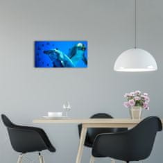 Wallmuralia Moderní skleněné hodiny na stěnu Dva delfíni černé 60x30 cm