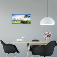 Wallmuralia Moderní skleněné hodiny na stěnu Miami USA bílé 60x30 cm