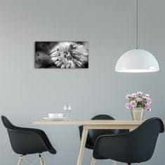 Wallmuralia Moderní skleněné hodiny na stěnu Pampelišky černé 60x30 cm