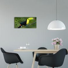 Wallmuralia Moderní skleněné hodiny na stěnu Tukan černé 60x30 cm