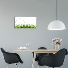 Wallmuralia Skleněné hodiny na stěnu tiché Bilé tulipány bílé 60x30 cm