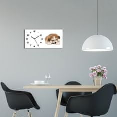 Wallmuralia Skleněné hodiny na stěnu Štěně Akita černé 60x30 cm