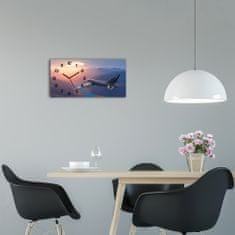 Wallmuralia Moderní skleněné hodiny na stěnu Letadlo černé 60x30 cm