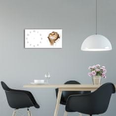 Wallmuralia Moderní skleněné hodiny na stěnu Kočka bílé 60x30 cm