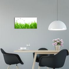 Wallmuralia Moderní skleněné hodiny na stěnu Tráva bílé 60x30 cm