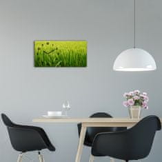 Wallmuralia Moderní skleněné hodiny na stěnu Rýžové pole černé 60x30 cm