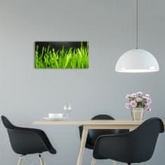 Wallmuralia Moderní skleněné hodiny na stěnu Tráva černé 60x30 cm