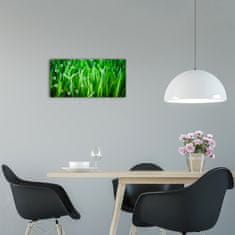 Wallmuralia Moderní skleněné hodiny na stěnu Tráva bílé 60x30 cm