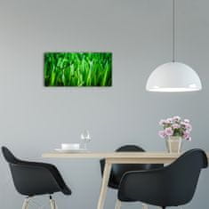 Wallmuralia Moderní skleněné hodiny na stěnu Tráva černé 60x30 cm