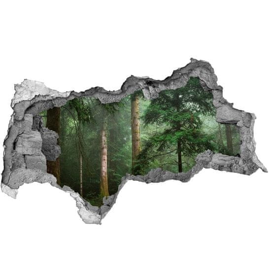 Wallmuralia Díra 3D foto tapeta nálepka Mlha v lese