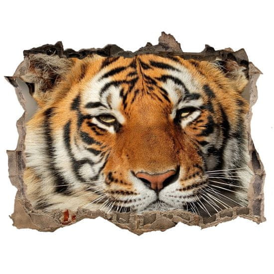 Wallmuralia Díra 3D foto tapeta nálepka Bengálský tygr