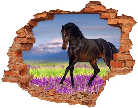 Wallmuralia Fototapeta díra na zeď Kůň na poli levandule