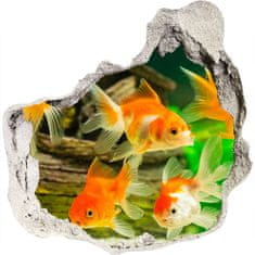 Wallmuralia Díra 3D foto tapeta nálepka Zlaté rybičky 100x100 cm