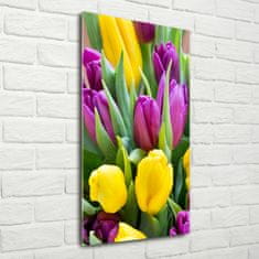 Wallmuralia Vertikální Fotoobraz na skle Barevné tulipány 70x140 cm 2 úchytky