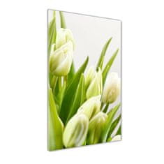 Wallmuralia Vertikální Foto obraz fotografie na skle Bílé tulipány 50x100 cm 2 úchytky