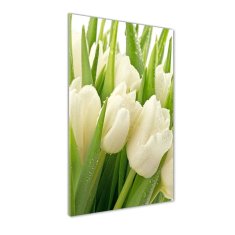 Wallmuralia Vertikální Foto obraz fotografie na skle Bílé tulipány 70x100 cm 4 úchytky