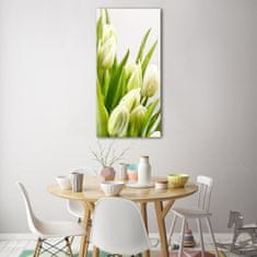 Wallmuralia Vertikální Foto obraz fotografie na skle Bílé tulipány 50x100 cm 2 úchytky