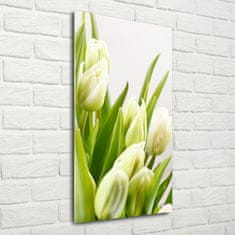 Wallmuralia Vertikální Foto obraz fotografie na skle Bílé tulipány 50x100 cm 2 úchytky