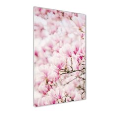 Wallmuralia Vertikální Fotoobraz na skle Květy magnolie 50x100 cm 2 úchytky