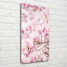 Wallmuralia Vertikální Fotoobraz na skle Květy magnolie 50x100 cm 2 úchytky