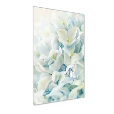 Wallmuralia Vertikální Fotoobraz na skle Květ hortensie 50x125 cm 4 úchytky