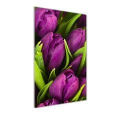 Wallmuralia Vertikální Fotoobraz na skle Fialové tulipány 50x100 cm 2 úchytky